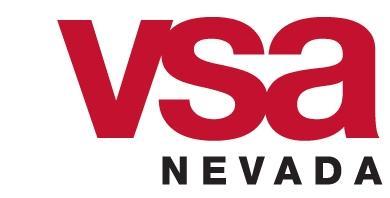 color VSA NV logo 2